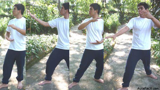 tai chi chuan