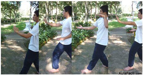 tai chi chuan