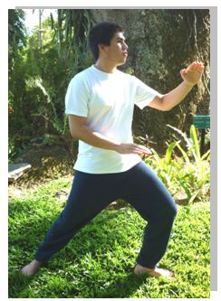 tai chi chuan