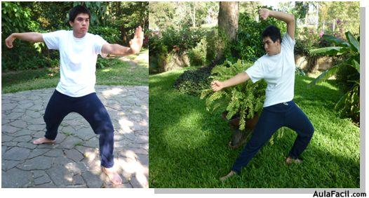 tai chi chuan