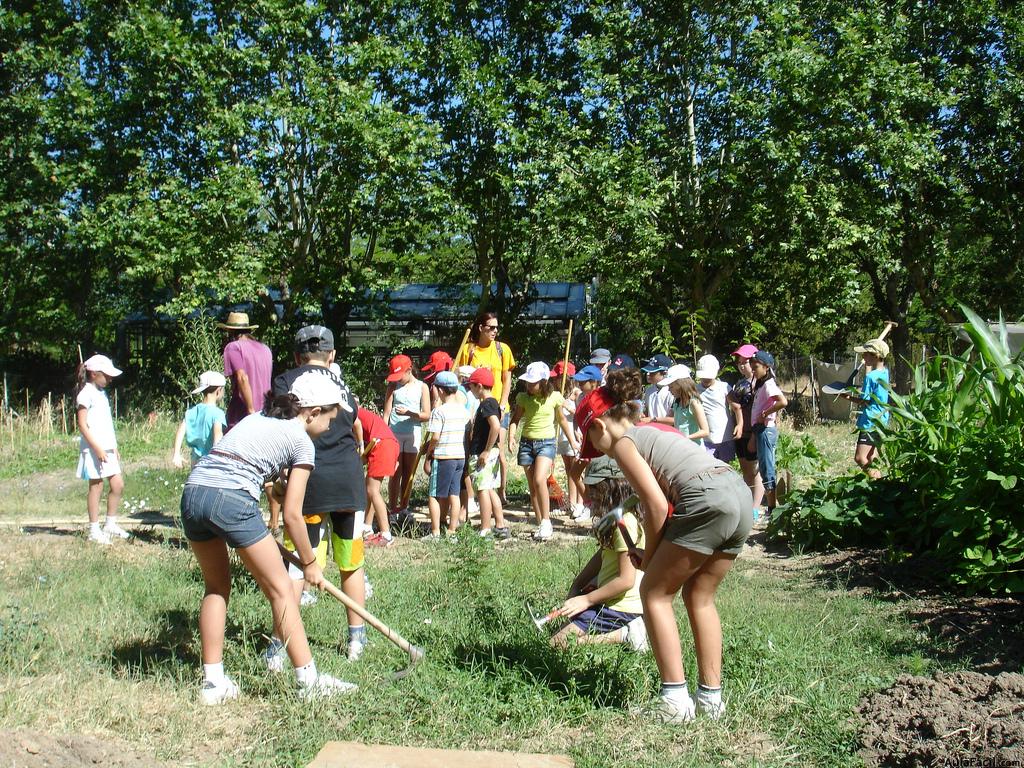 Huerta educativa