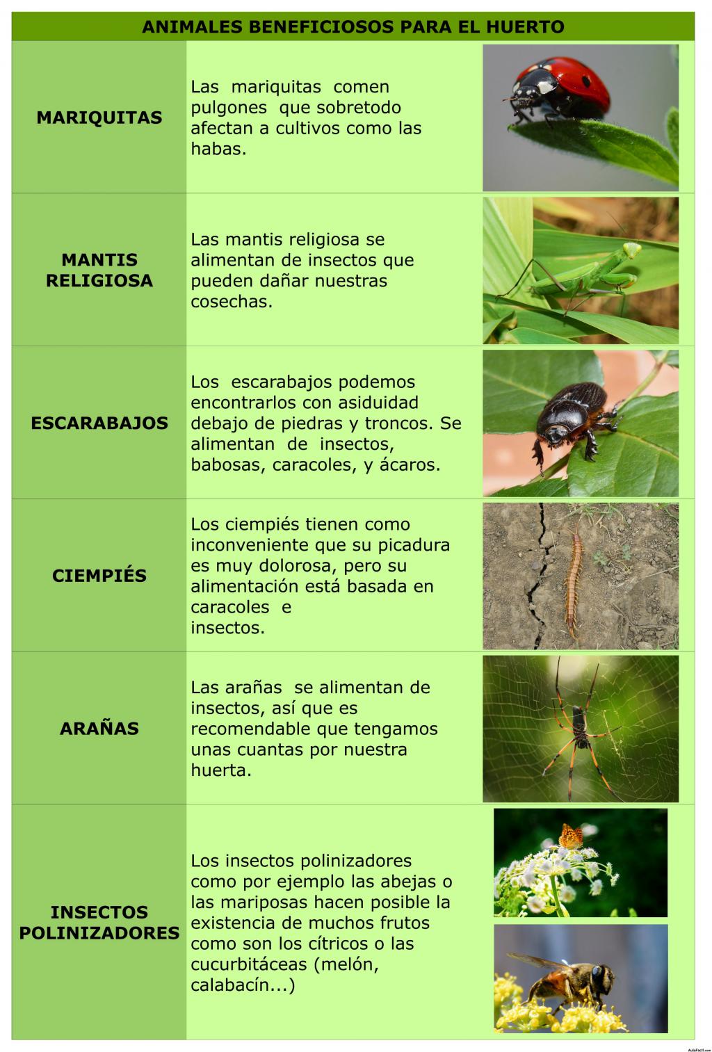 Animales beneficiosos