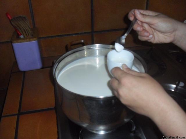 como cuajar la leche