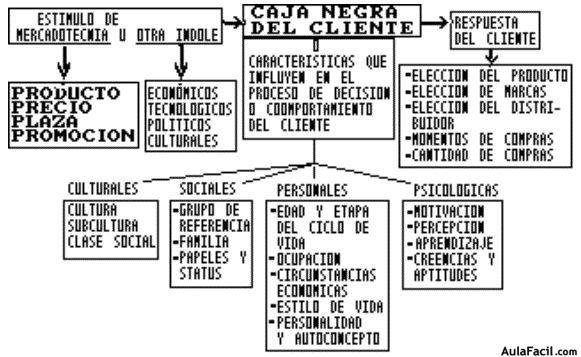 comportamiento consumidor