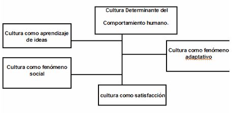 factores socioculturales