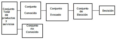 proceso cognoscitivo