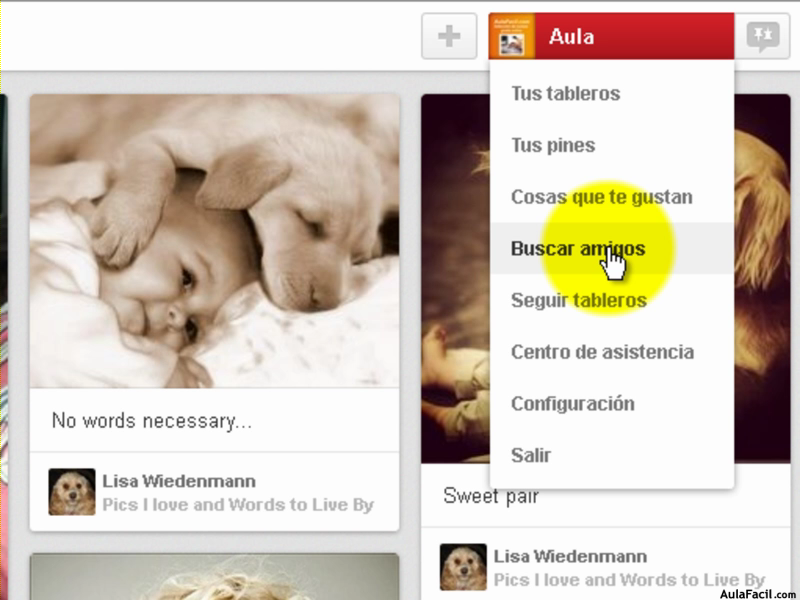 Buscar amigos para Pinterest