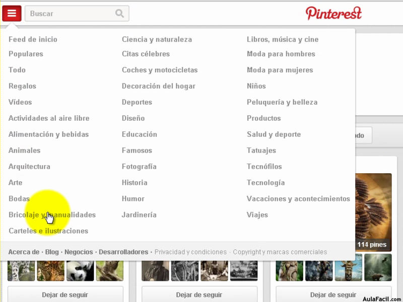 Ventana de categorías de Pinterest