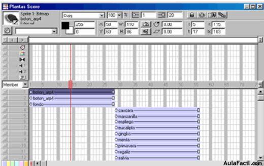 Partitura (SCORE)