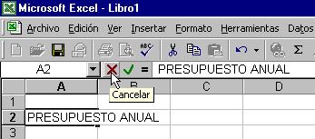 Introducir datos y cambiarlos en la Hoja de Trabajo