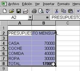 Dar formato a los datos introducidos