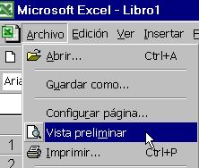 vista preliminar