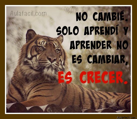 No cambié. Solo aprendí y aprender no es cambiar, es crecer. 