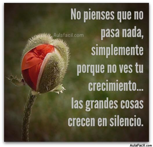 las grandes cosas crecen en silencio