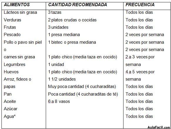 Plan de alimentación 