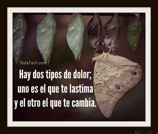 Hay dos tipos de dolor; uno es el que te lastima y el otro el que te cambia. 