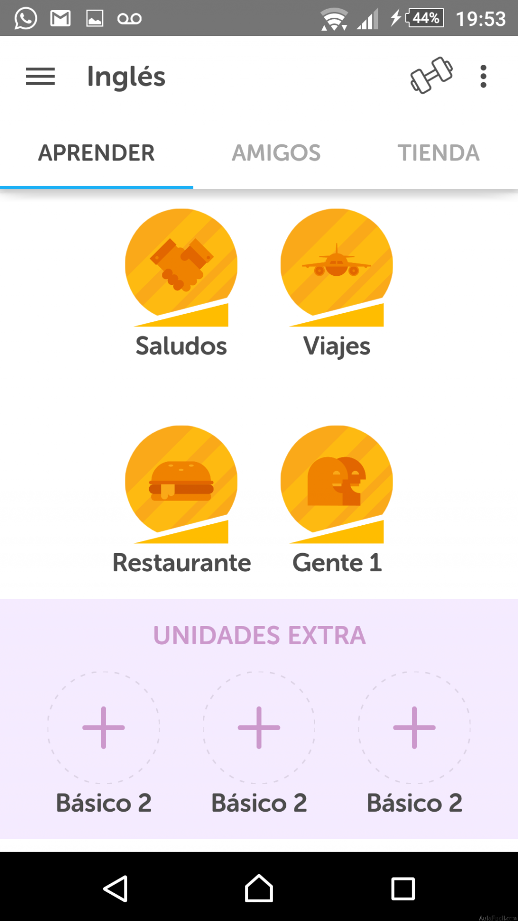 duolingo 11