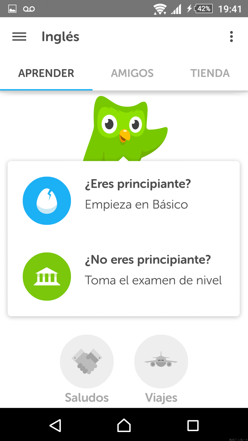 duolingo 5