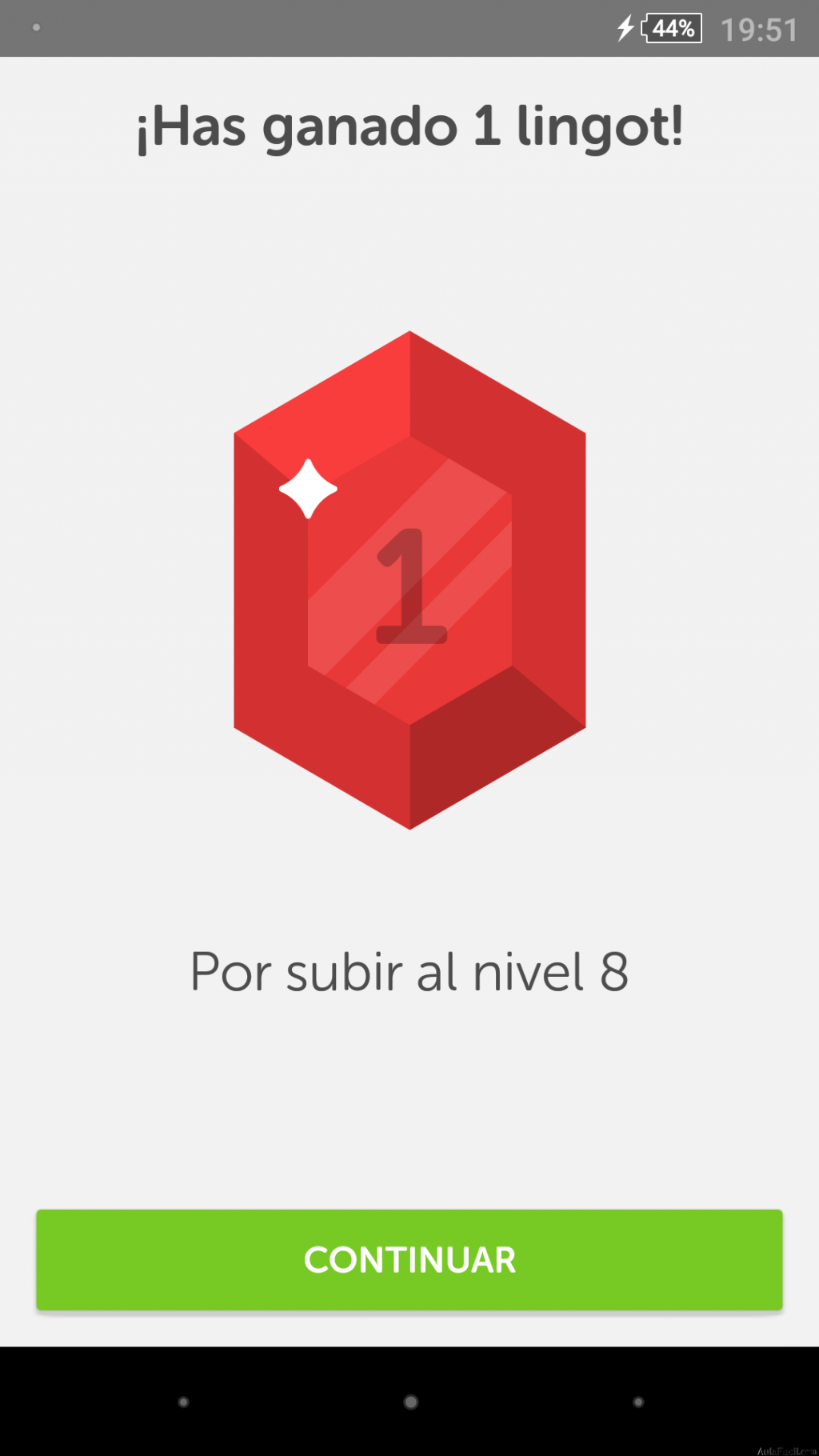 duolingo 8