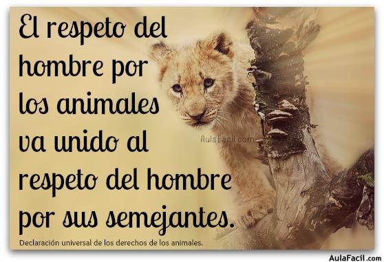 respeto por animales