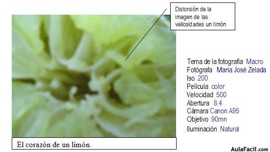 Longitud Focal o Efecto Macro