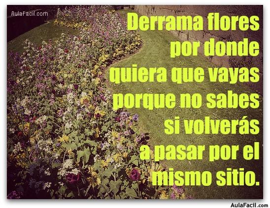 derrama flores