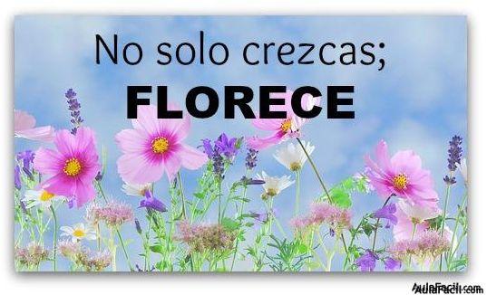 florece