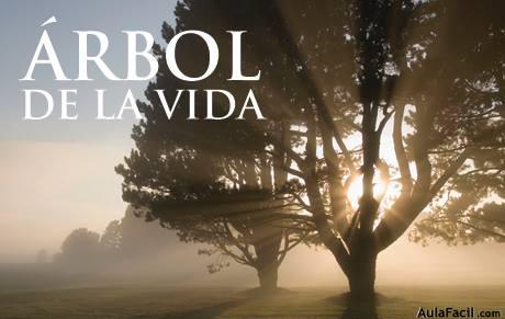 arboldelavida