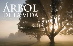 Árbol de la vida