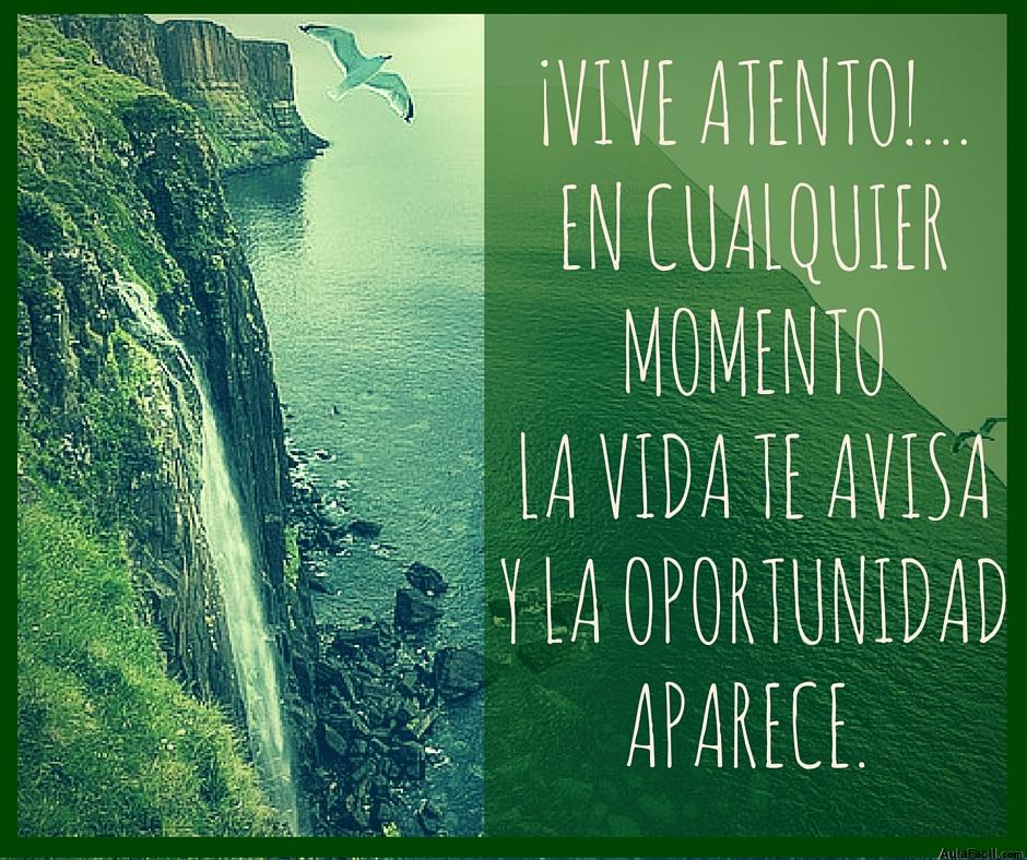 vive atento