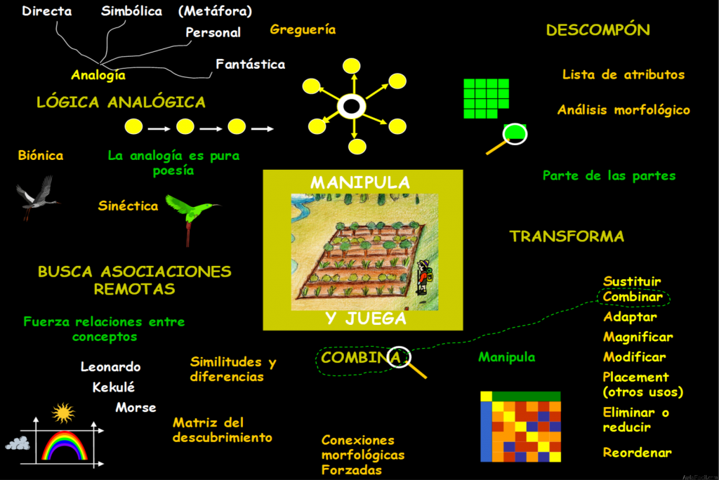 Mapa conceptual: Manipula y juega.
