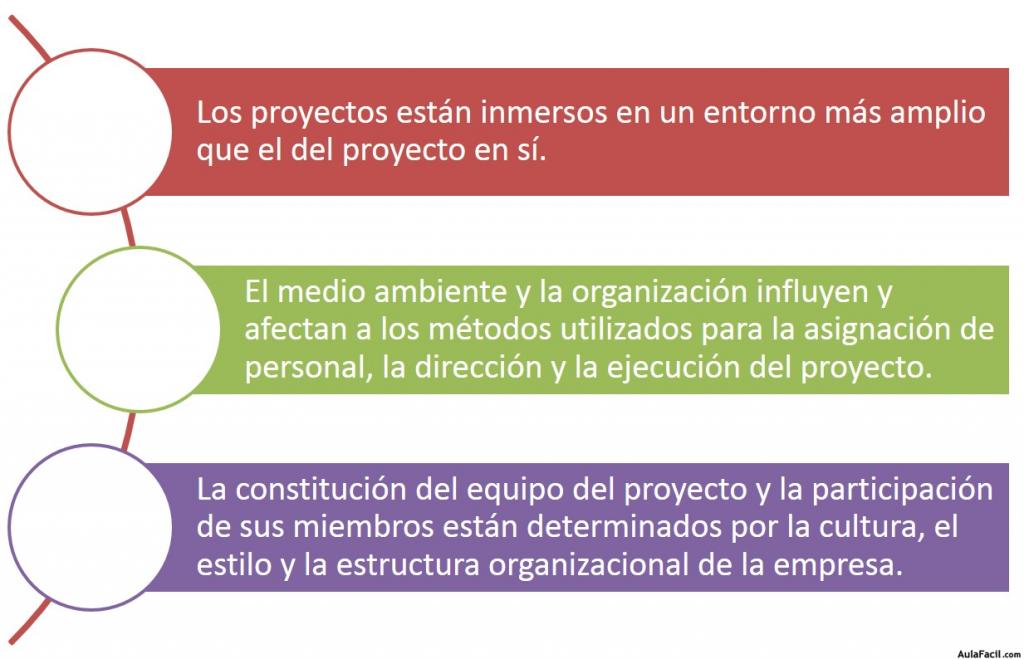 Factores de Influencia de la Organización en el Proyecto