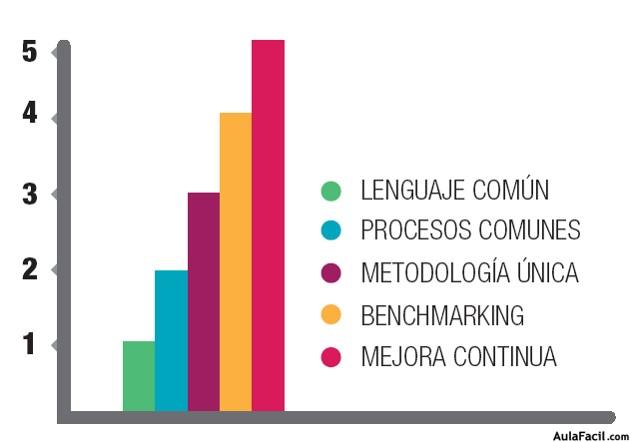 Niveles del Modelo de Madurez Organizacional de Harold Kerzner