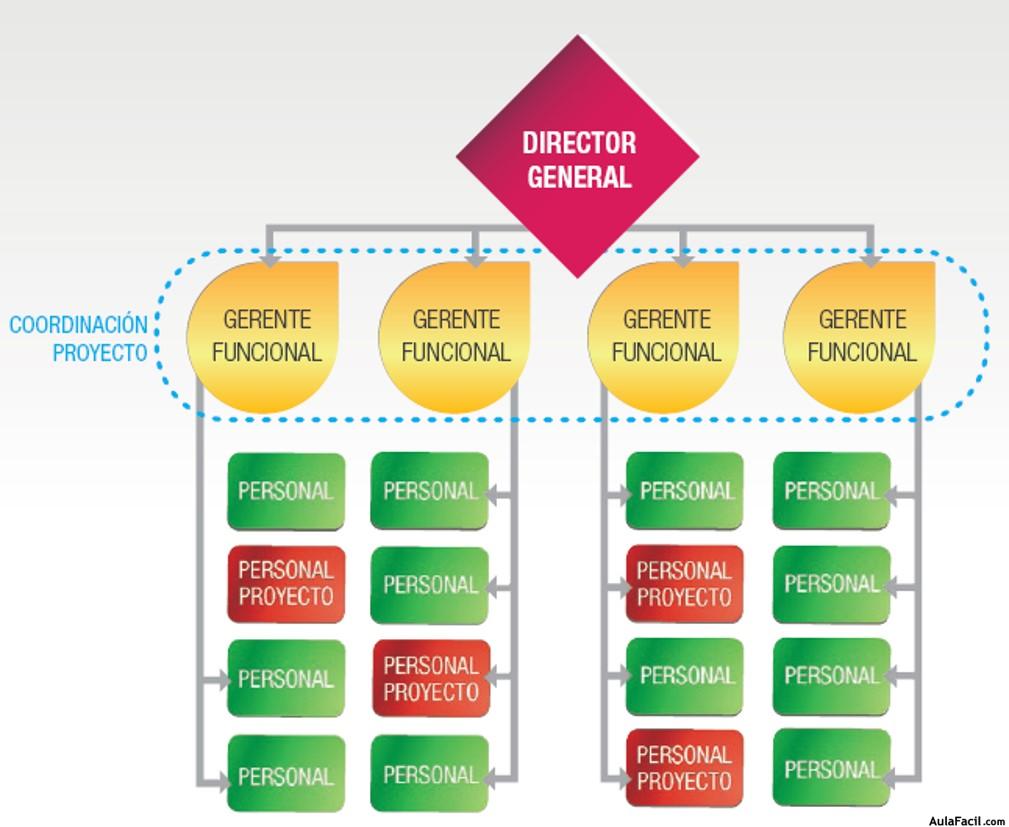 Organigrama Estructura Funcional