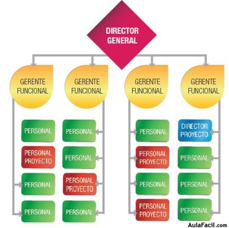 Organigrama de la Organización Matricial Balanceada