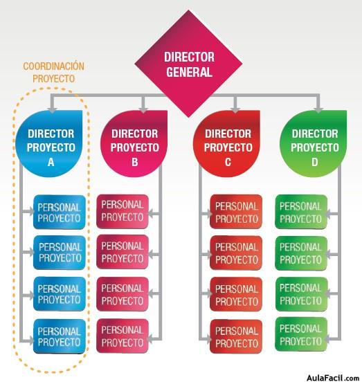 Organigrama de una Estructura Orientada a Proyectos