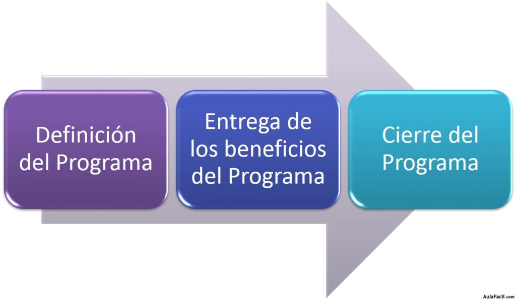 Fases del Ciclo de Vida de un Programa de Proyecto