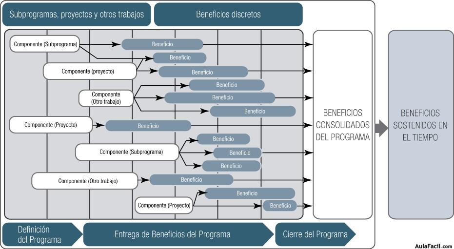 Contexto Organizacional de un Programa de Proyectos