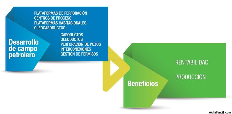 Ejemplo de un Programa de Proyectos