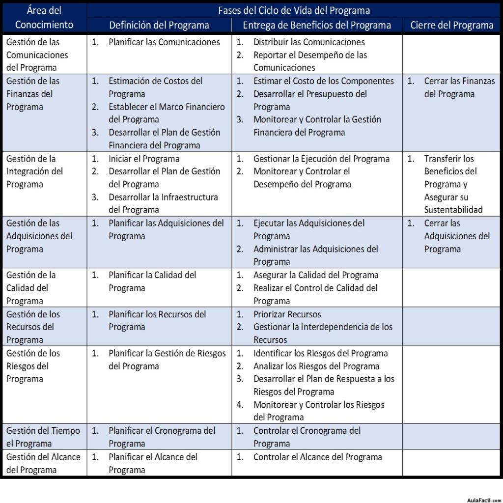 Procesos de la Dirección de Programas de Proyecto acorde a la Guía del PMBOK(R)