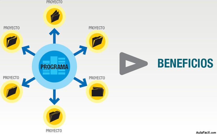 Estructura de un Programa de Proyectos