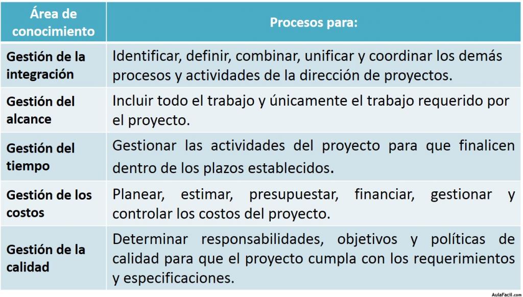 Roles de las Áreas de Conocimiento acorde a la Guía del PMBOK