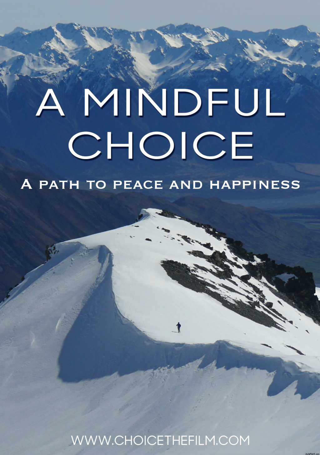 A Mindful Choice