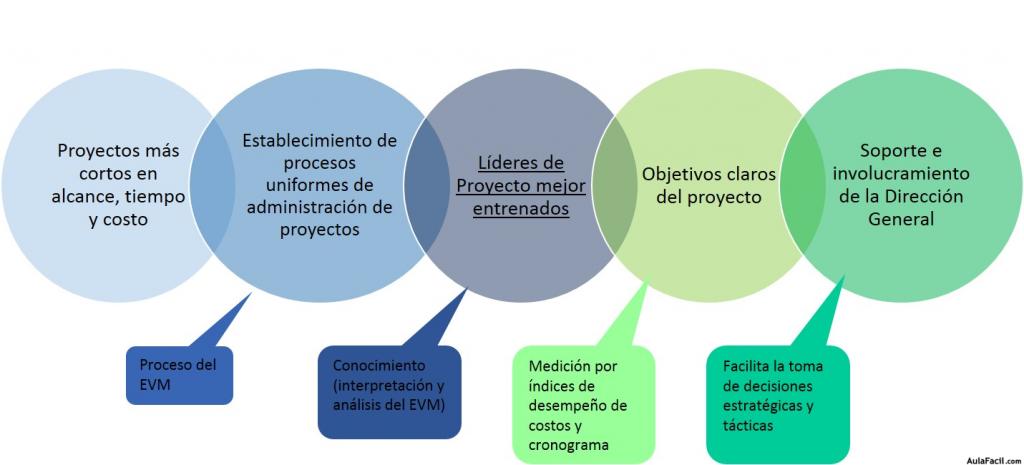 Causas de Exito y el EVM