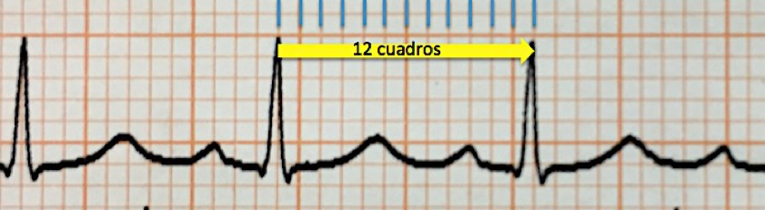 Imagen 5