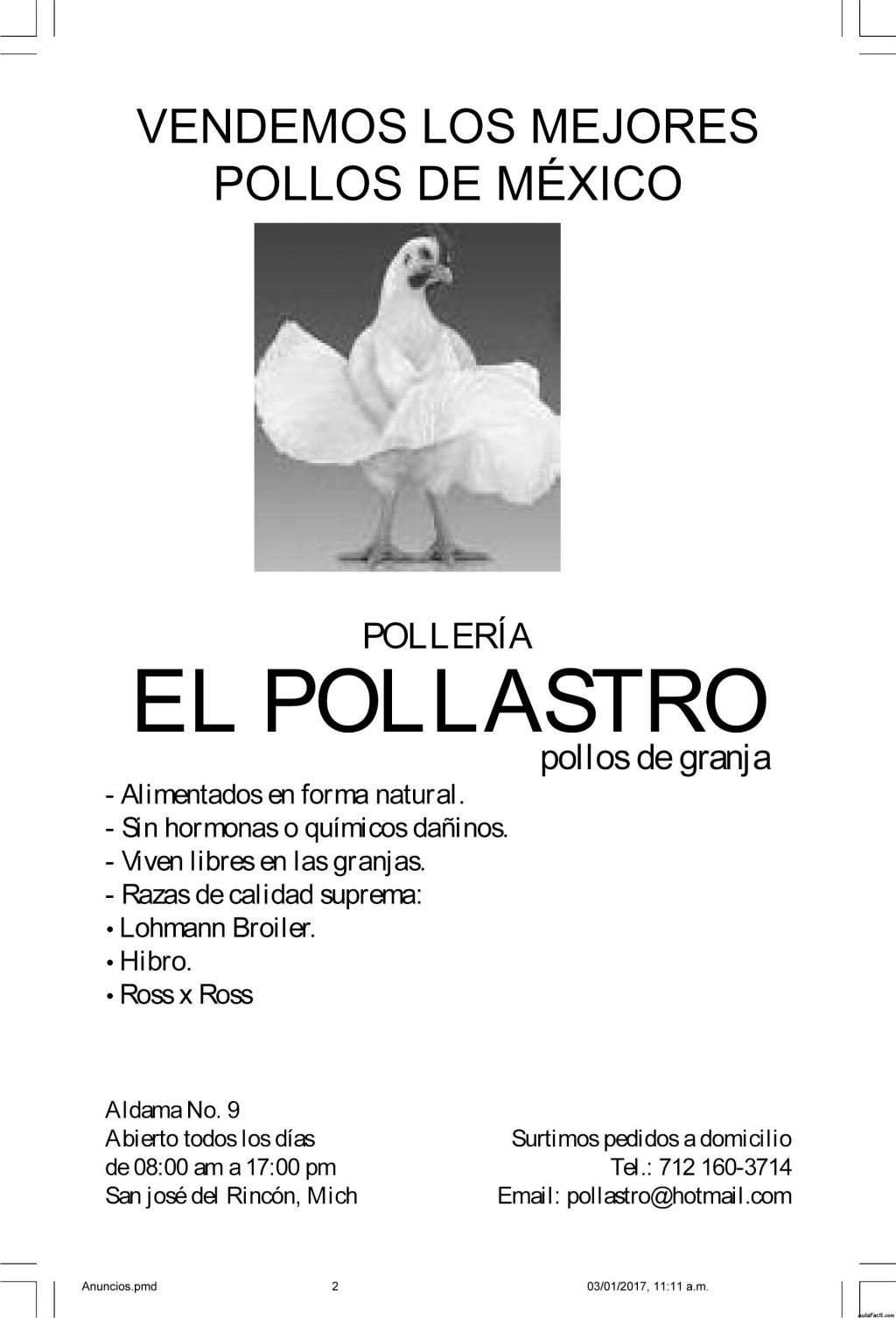 Pollastro