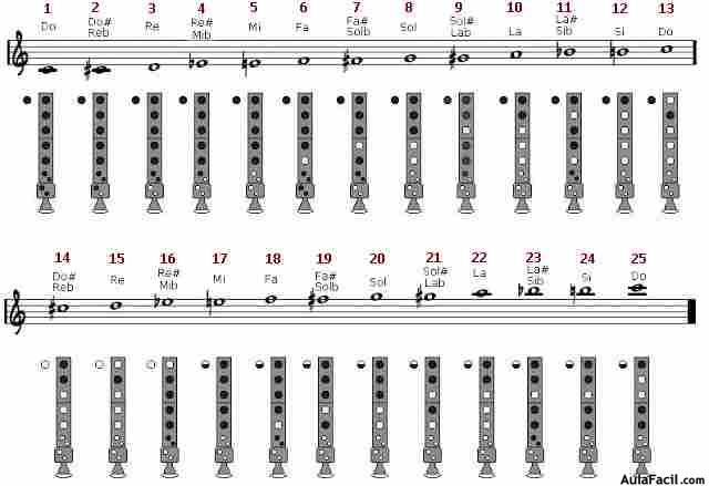 Campo Mendicidad progresivo 🥇▷【 La emisión, prolongación y final del sonido (notas largas) - Método  para aprender flauta escolar 】