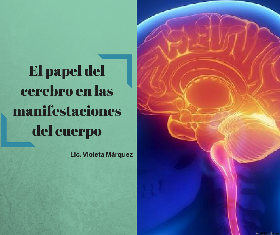 El papel del cerebro en las manifestaciones del cuerpo