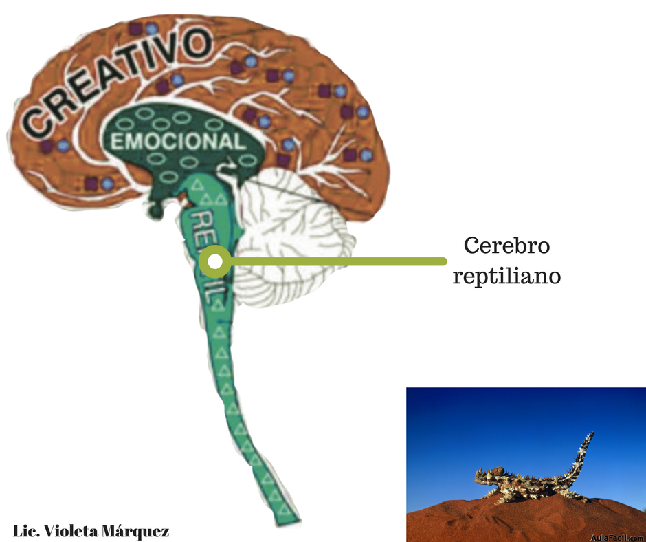 Cerebro reptiliano