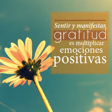 Gratitud